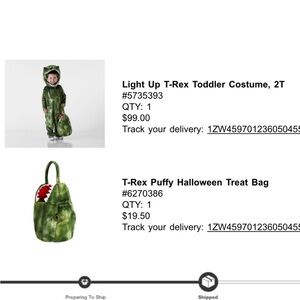 COPY - Pottery barn toddlers 2T Dino costume